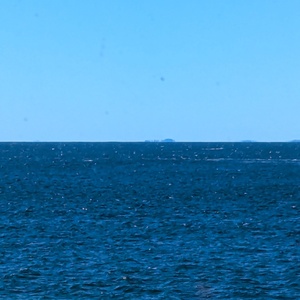 PXL_20240908_132601923.jpg